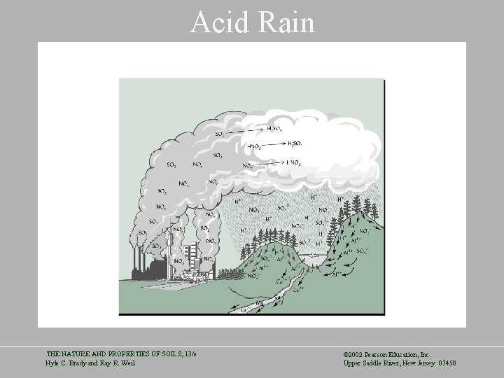 Acid Rain THE NATURE AND PROPERTIES OF SOILS, 13/e Nyle C. Brady and Ray