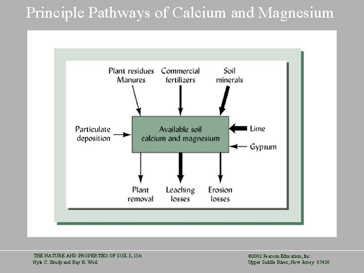Principle Pathways of Calcium and Magnesium THE NATURE AND PROPERTIES OF SOILS, 13/e Nyle