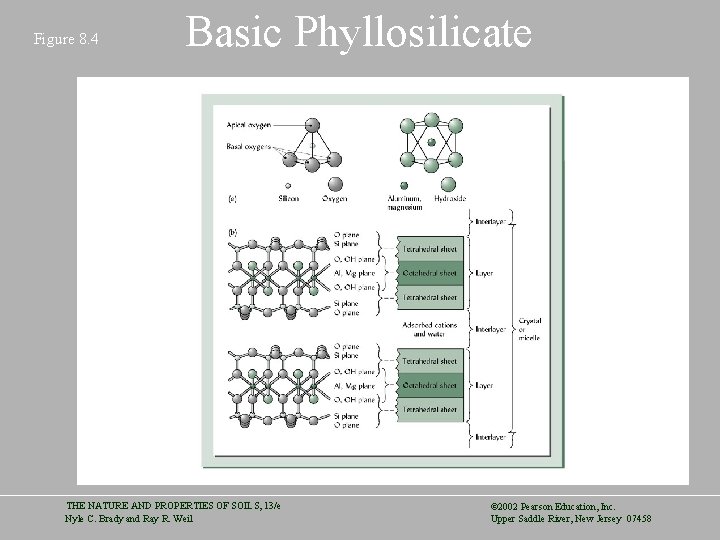 Figure 8. 4 Basic Phyllosilicate THE NATURE AND PROPERTIES OF SOILS, 13/e Nyle C.