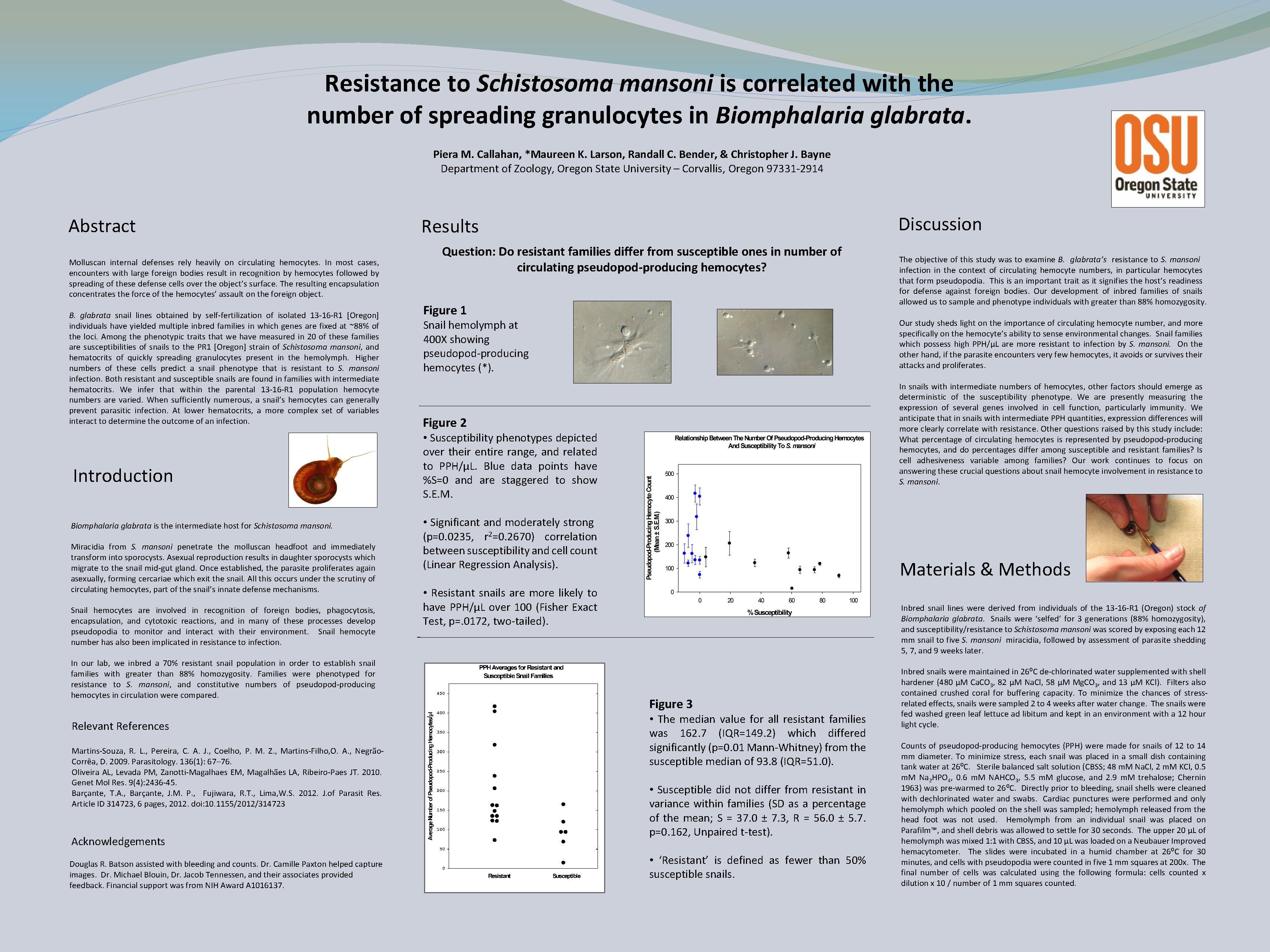 Resistance to Schistosoma mansoni is correlated with the number of spreading granulocytes in Biomphalaria