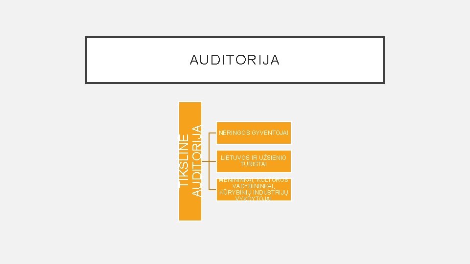 TIKSLINĖ AUDITORIJA NERINGOS GYVENTOJAI LIETUVOS IR UŽSIENIO TURISTAI MENININKAI, KULTŪROS VADYBININKAI, KŪRYBINIŲ INDUSTRIJŲ VYKDYTOJAI