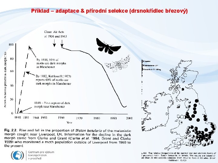 Příklad – adaptace & přírodní selekce (drsnokřídlec březový) 