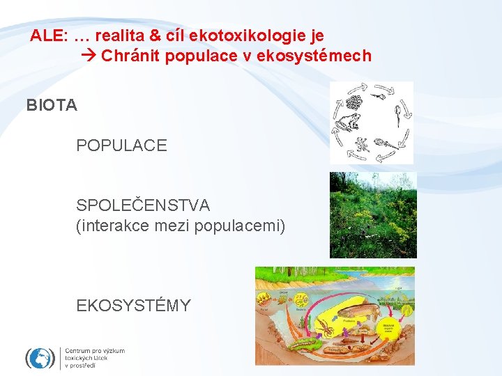 ALE: … realita & cíl ekotoxikologie je Chránit populace v ekosystémech BIOTA POPULACE SPOLEČENSTVA