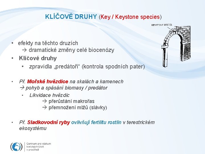 KLÍČOVÉ DRUHY (Key / Keystone species) • efekty na těchto druzích dramatické změny celé