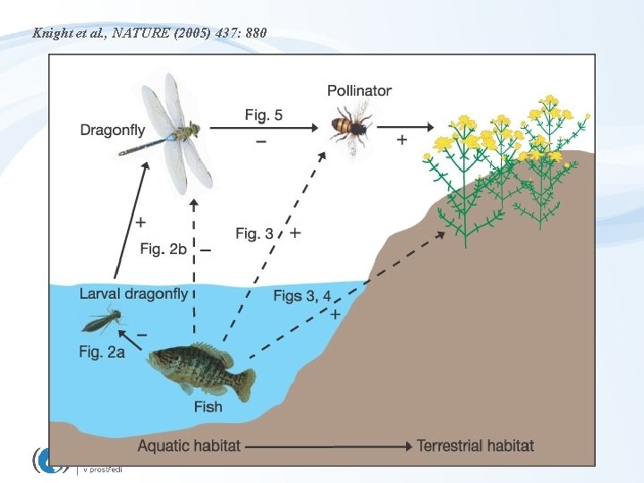 Knight et al. , NATURE (2005) 437: 880 