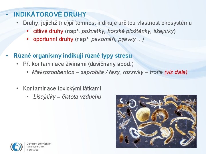  • INDIKÁTOROVÉ DRUHY • Druhy, jejichž (ne)přítomnost indikuje určitou vlastnost ekosystému • citlivé