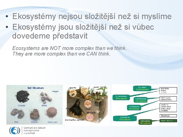  • Ekosystémy nejsou složitější než si myslíme • Ekosystémy jsou složitější než si