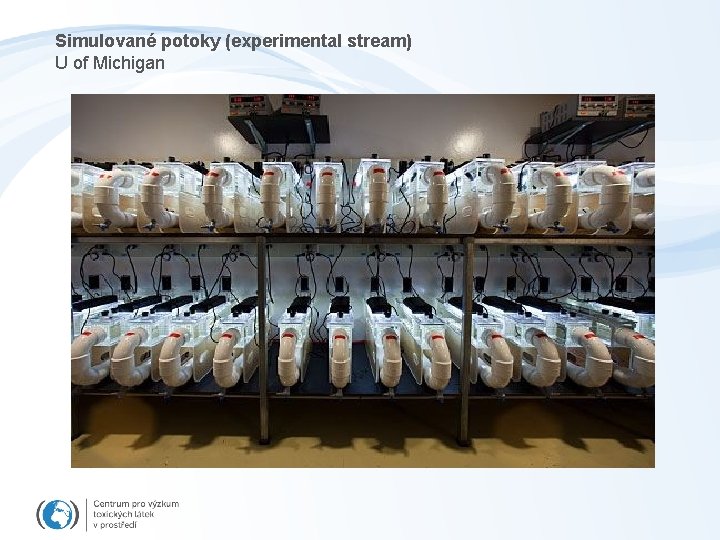 Simulované potoky (experimental stream) U of Michigan 