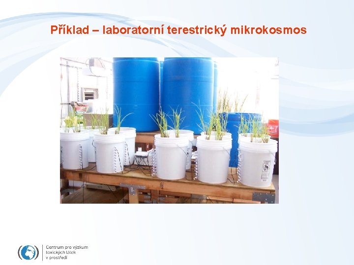 Příklad – laboratorní terestrický mikrokosmos 