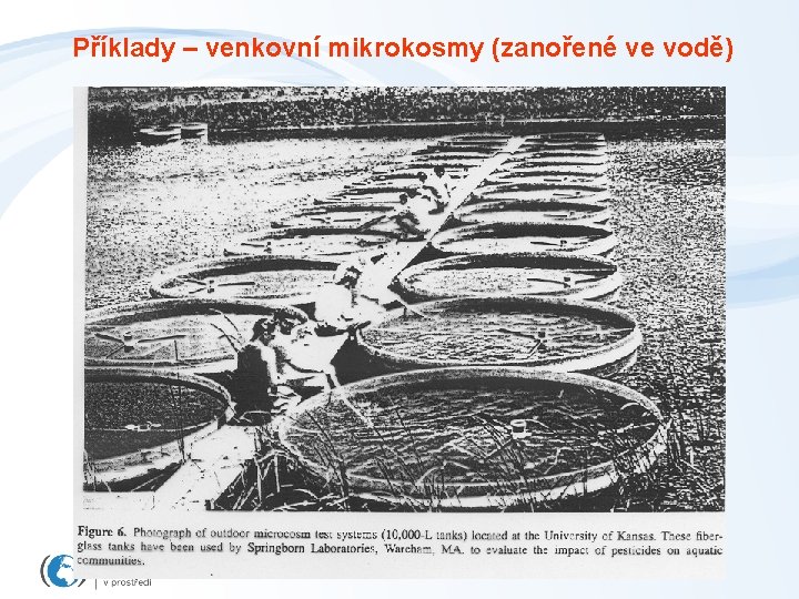 Příklady – venkovní mikrokosmy (zanořené ve vodě) 