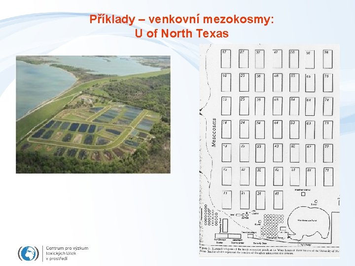 Příklady – venkovní mezokosmy: U of North Texas 