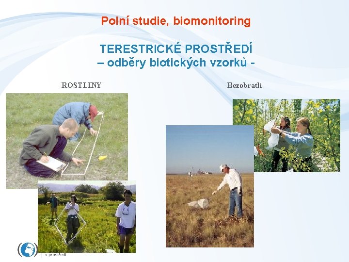 Polní studie, biomonitoring TERESTRICKÉ PROSTŘEDÍ – odběry biotických vzorků ROSTLINY Bezobratlí 