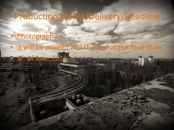 Production Media/Delivery/Deadline • Photography • It will be printed and showed at the final