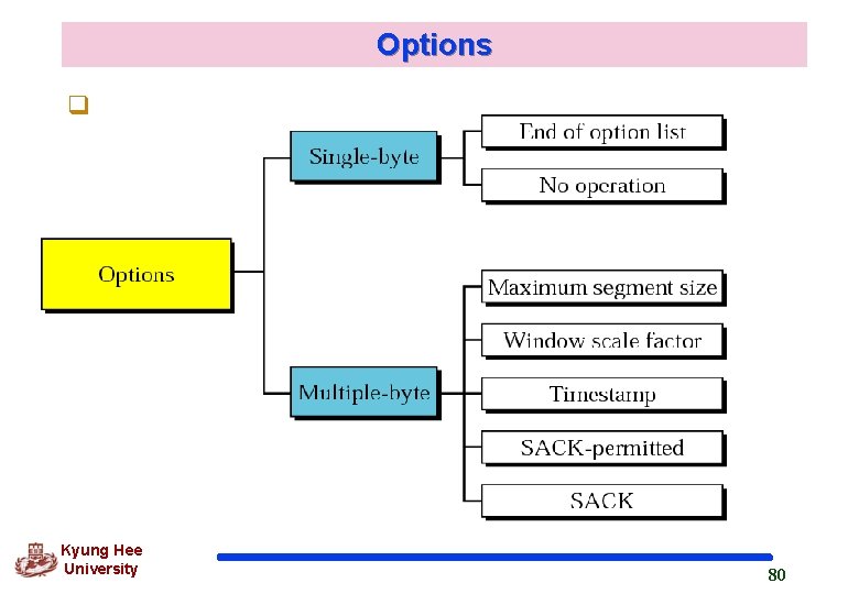 Options q Kyung Hee University 80 