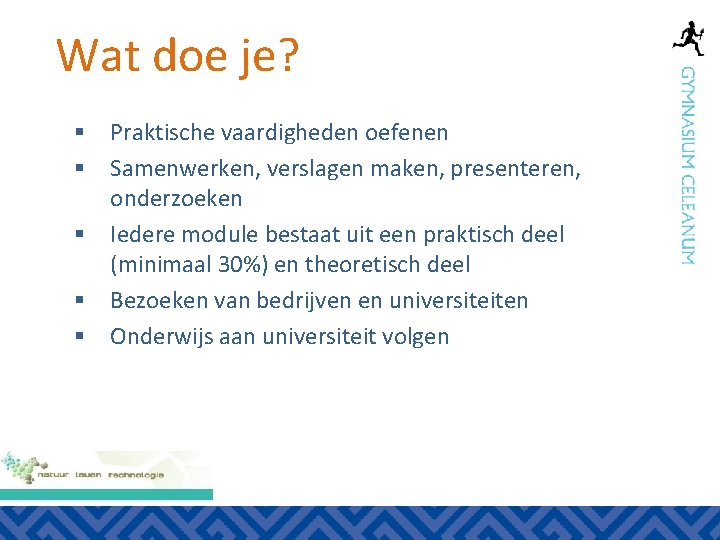 Wat doe je? § Praktische vaardigheden oefenen § Samenwerken, verslagen maken, presenteren, onderzoeken §