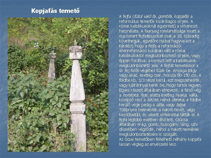 Kopjafás temető A fejfa (fütül való fa, gombfa, kopjafa) a református temetők kizárólagos sírjele.