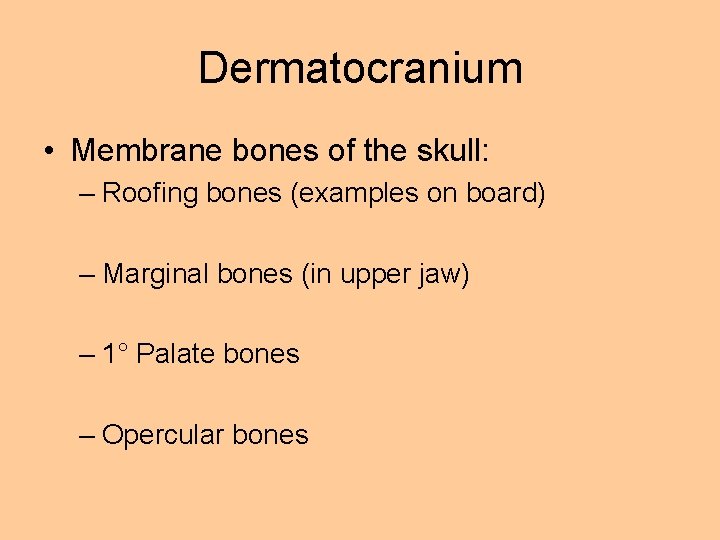 Dermatocranium • Membrane bones of the skull: – Roofing bones (examples on board) –