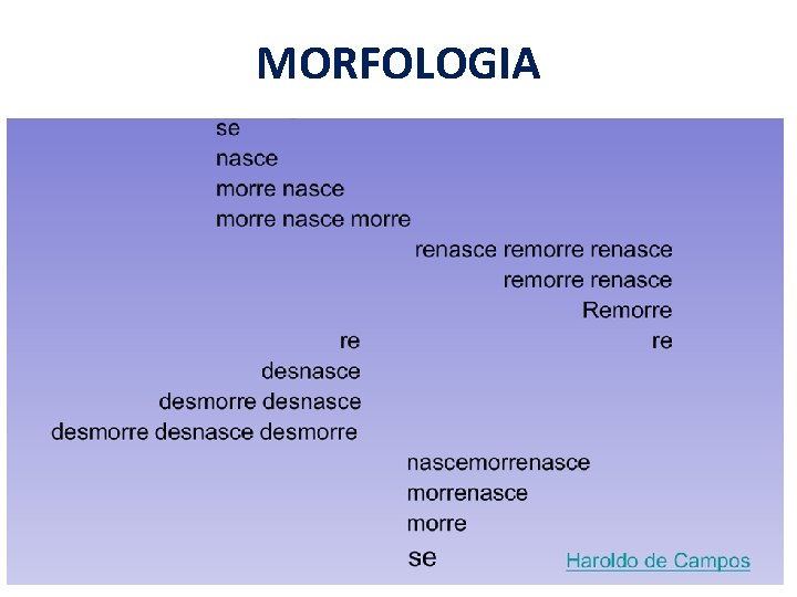 MORFOLOGIA 