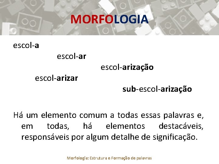 MORFOLOGIA escol-arização sub-escol-arização Há um elemento comum a todas essas palavras e, em todas,