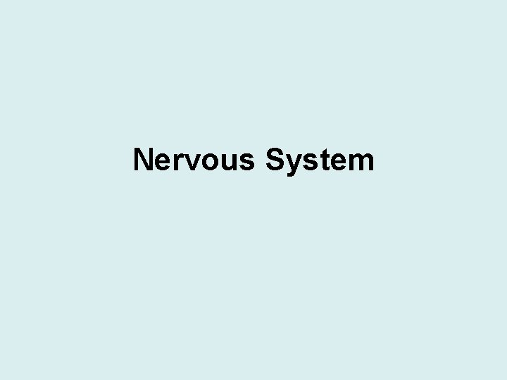 Nervous System 