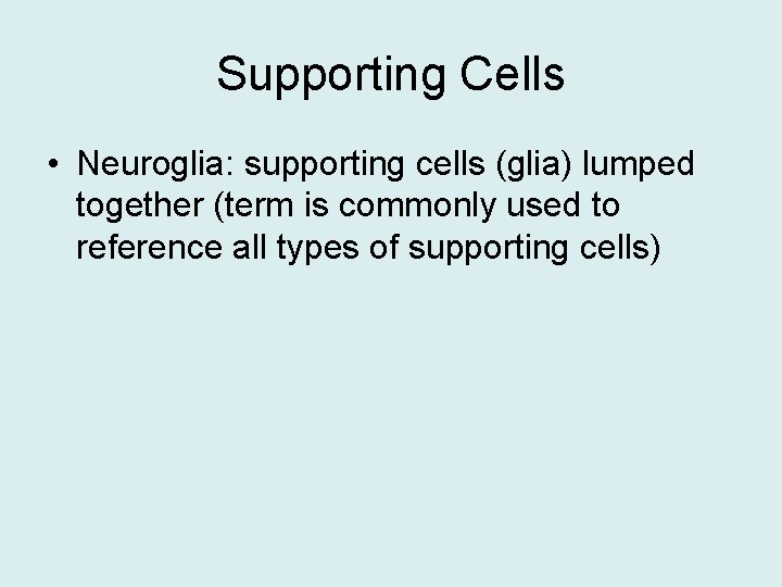 Supporting Cells • Neuroglia: supporting cells (glia) lumped together (term is commonly used to