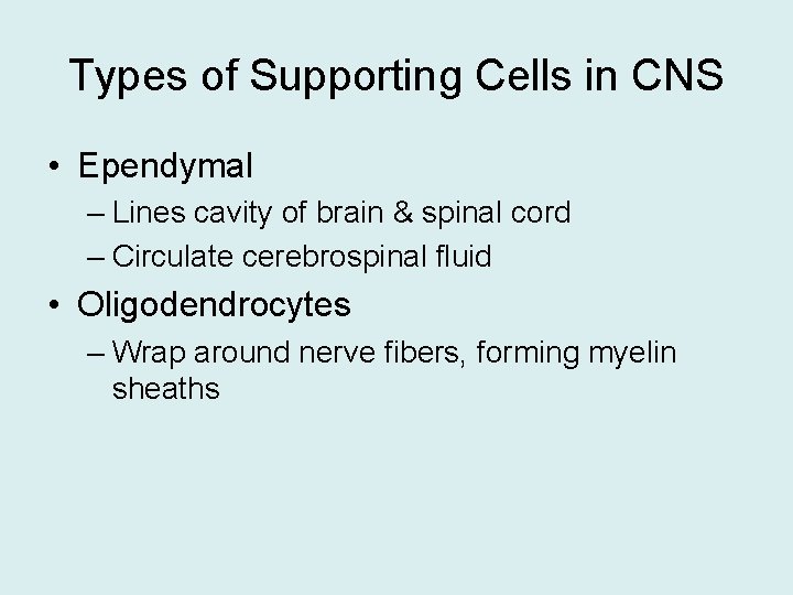 Types of Supporting Cells in CNS • Ependymal – Lines cavity of brain &