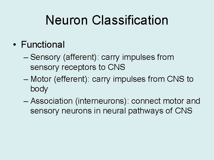 Neuron Classification • Functional – Sensory (afferent): carry impulses from sensory receptors to CNS