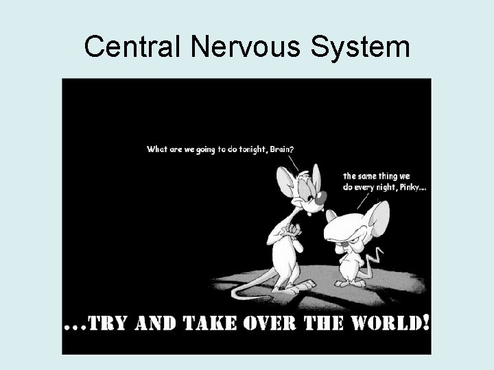 Central Nervous System 