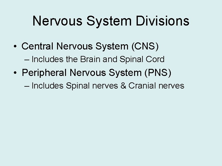 Nervous System Divisions • Central Nervous System (CNS) – Includes the Brain and Spinal