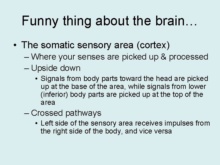 Funny thing about the brain… • The somatic sensory area (cortex) – Where your