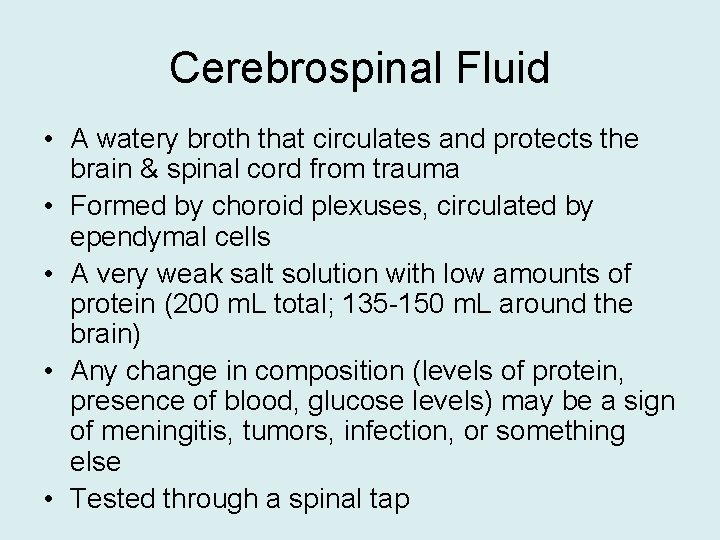 Cerebrospinal Fluid • A watery broth that circulates and protects the brain & spinal