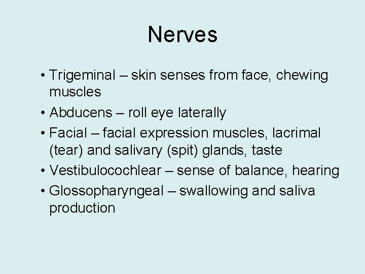 Nerves • Trigeminal – skin senses from face, chewing muscles • Abducens – roll