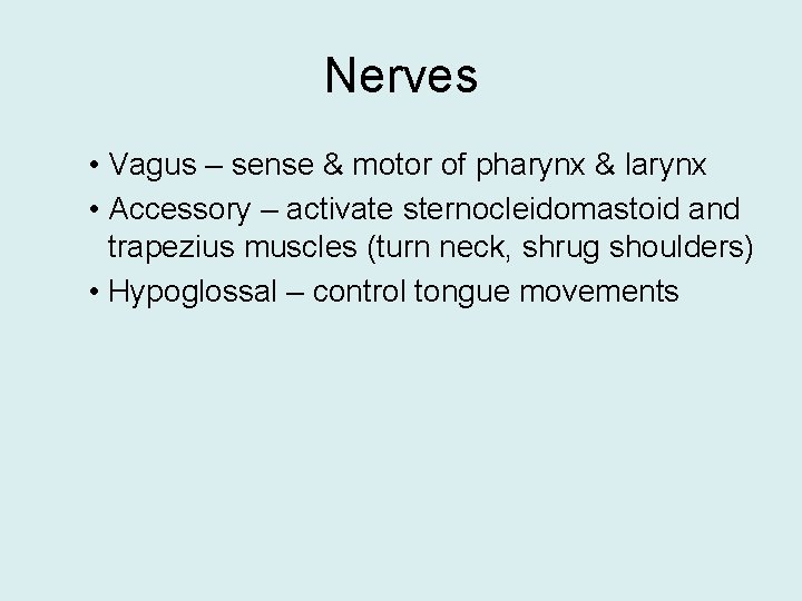 Nerves • Vagus – sense & motor of pharynx & larynx • Accessory –