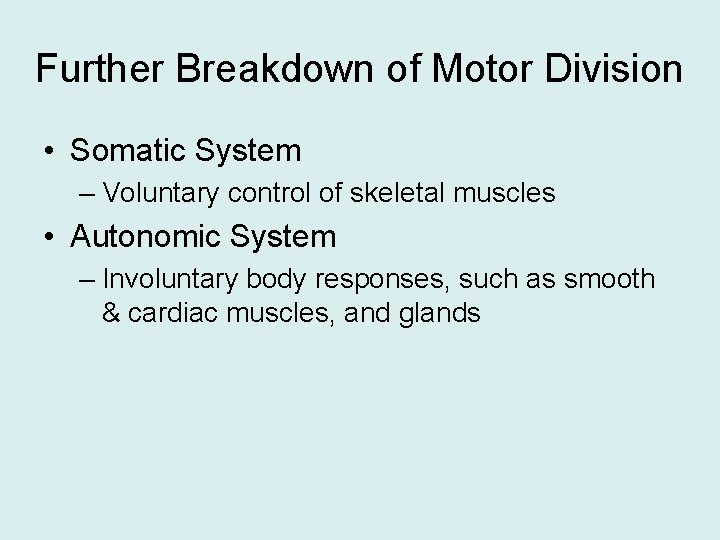 Further Breakdown of Motor Division • Somatic System – Voluntary control of skeletal muscles