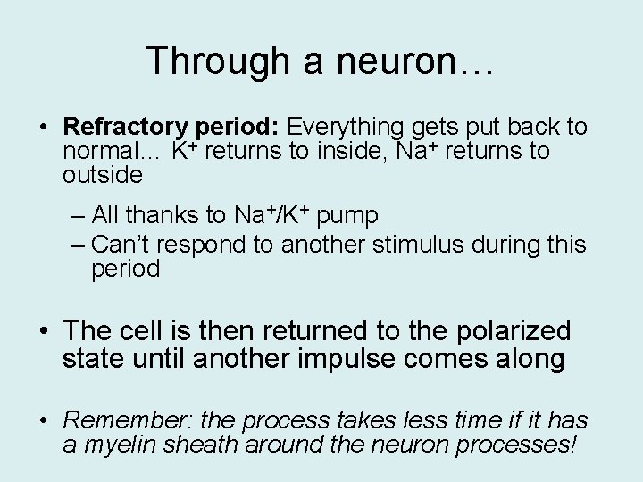 Through a neuron… • Refractory period: Everything gets put back to normal… K+ returns