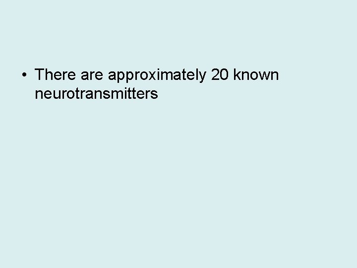  • There approximately 20 known neurotransmitters 