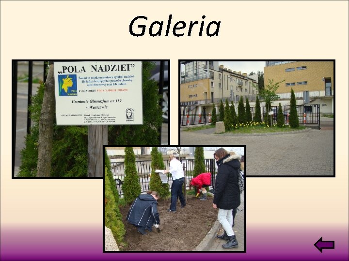 Galeria 