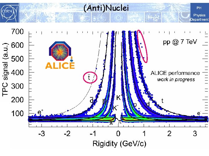 (Anti)Nuclei 22 