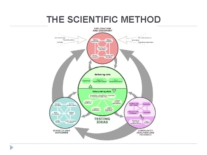 THE SCIENTIFIC METHOD 