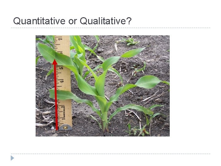 Quantitative or Qualitative? 