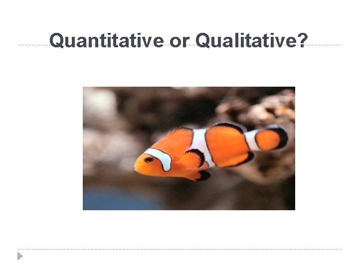Quantitative or Qualitative? 