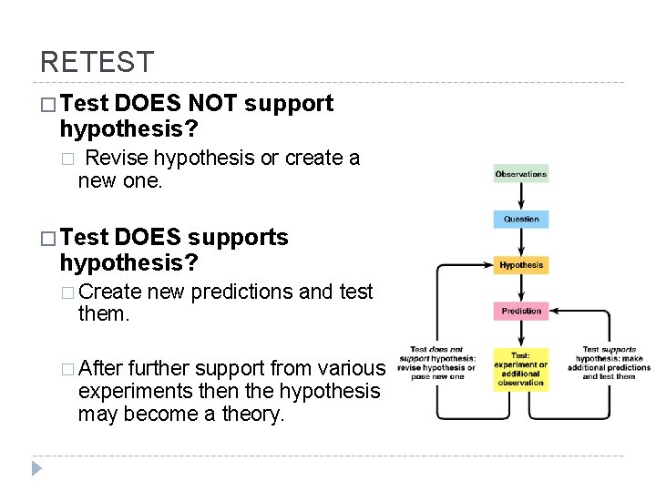 RETEST � Test DOES NOT support hypothesis? � Revise hypothesis or create a new