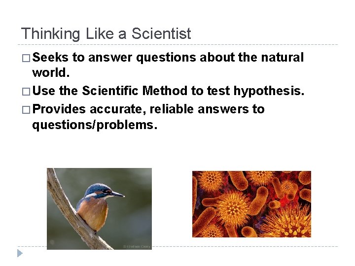 Thinking Like a Scientist � Seeks to answer questions about the natural world. �