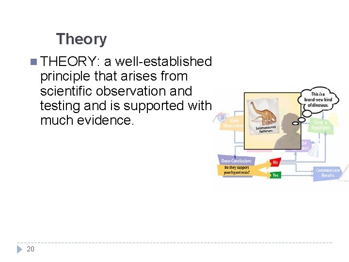 Theory n THEORY: a well-established principle that arises from scientific observation and testing and