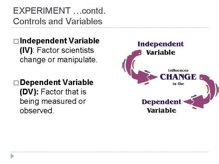 EXPERIMENT …contd. Controls and Variables � Independent Variable (IV): Factor scientists change or manipulate.
