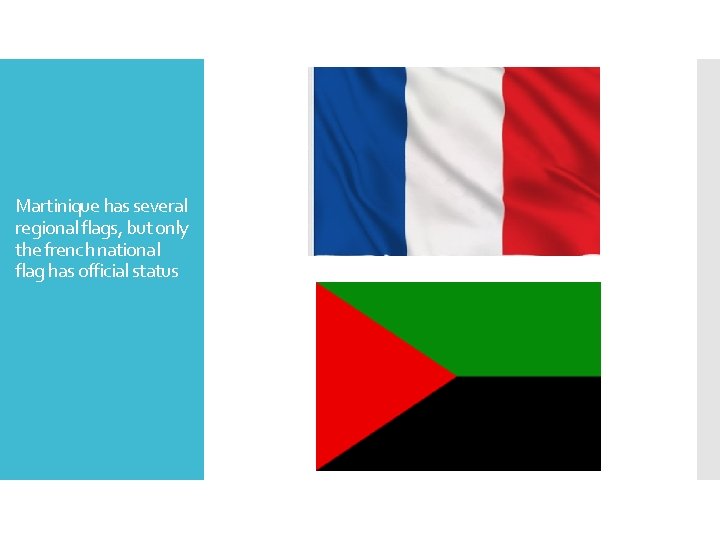 Martinique has several regional flags, but only the french national flag has official status