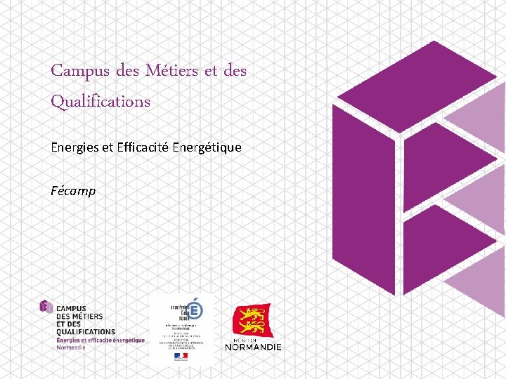 Campus des Métiers et des Qualifications Energies et Efficacité Energétique Fécamp 