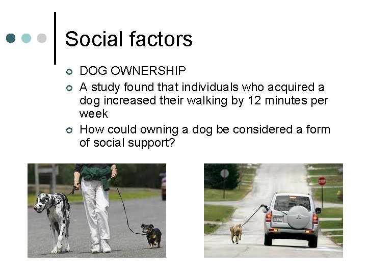 Social factors ¢ ¢ ¢ DOG OWNERSHIP A study found that individuals who acquired