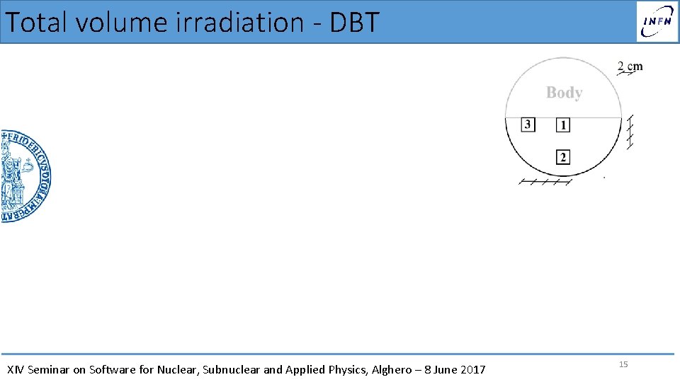 Total volume irradiation - DBT XIV Seminar on Software for Nuclear, Subnuclear and Applied