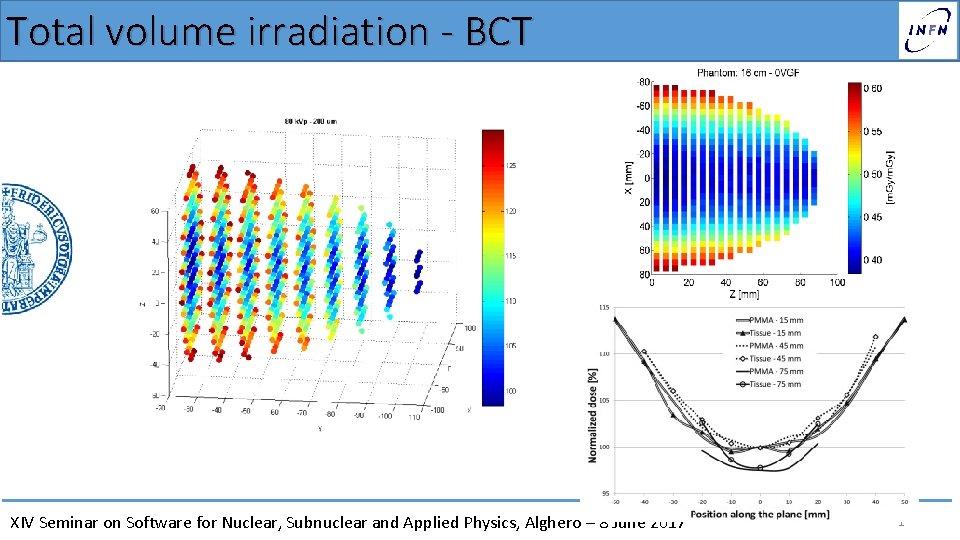 Total volume irradiation - BCT XIV Seminar on Software for Nuclear, Subnuclear and Applied